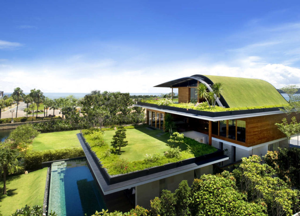 A beginner's guide to know all about green roofs