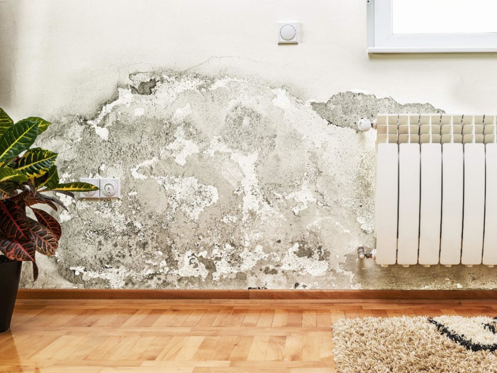 Everything To Know About Damp Proofing Your Property