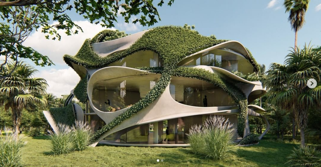 Find out all there is to know about organic architecture 