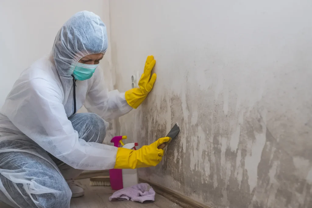 Damp Proofing Your Home: A Guide to Prevent Moisture Intrusion
